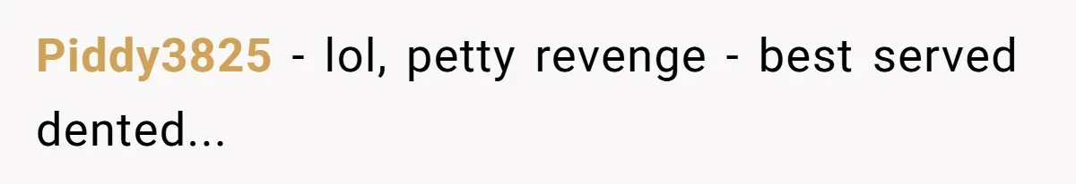 Piddy3825 − lol, petty revenge - best served dented...