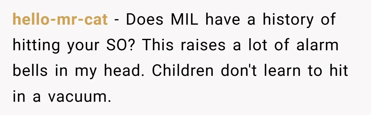 hello-mr-cat − Does MIL have a history of hitting your SO? This raises a lot of alarm bells in my head. Children don't learn to hit in a vacuum.