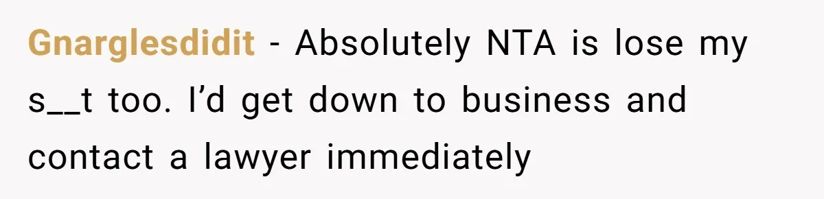 Gnarglesdidit − Absolutely NTA is lose my s__t too. I’d get down to business and contact a lawyer immediately