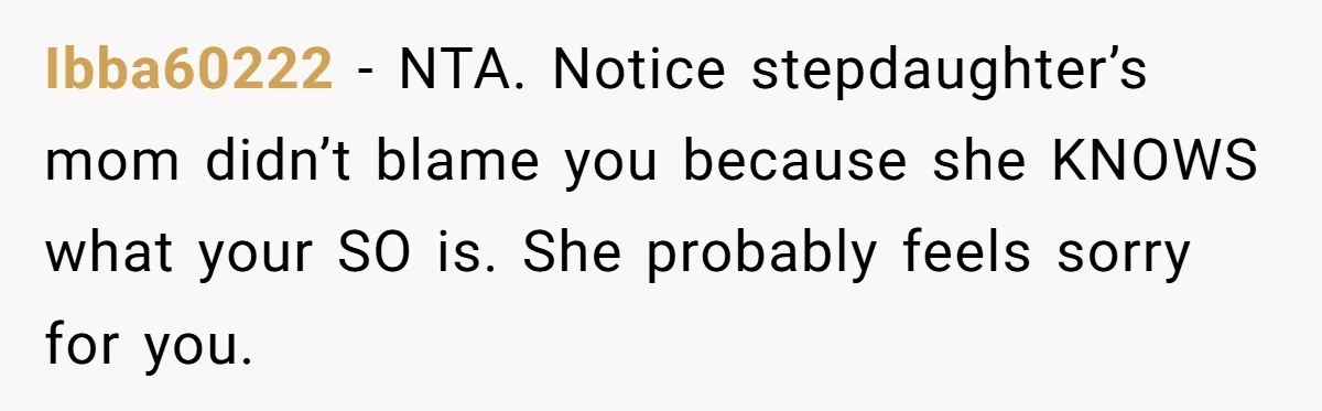 Ibba60222 − NTA. Notice stepdaughter’s mom didn’t blame you because she KNOWS what your SO is. She probably feels sorry for you.