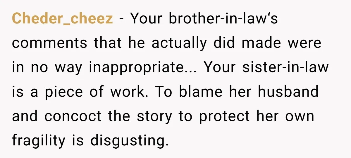 Cheder_cheez − Your brother-in-law‘s comments that he actually did made were in no way inappropriate... Your sister-in-law is a piece of work. To blame her husband and concoct the story...