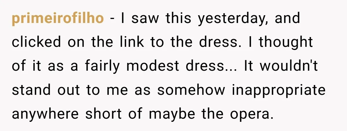 primeirofilho − I saw this yesterday, and clicked on the link to the dress. I thought of it as a fairly modest dress... It wouldn't stand out to me as...
