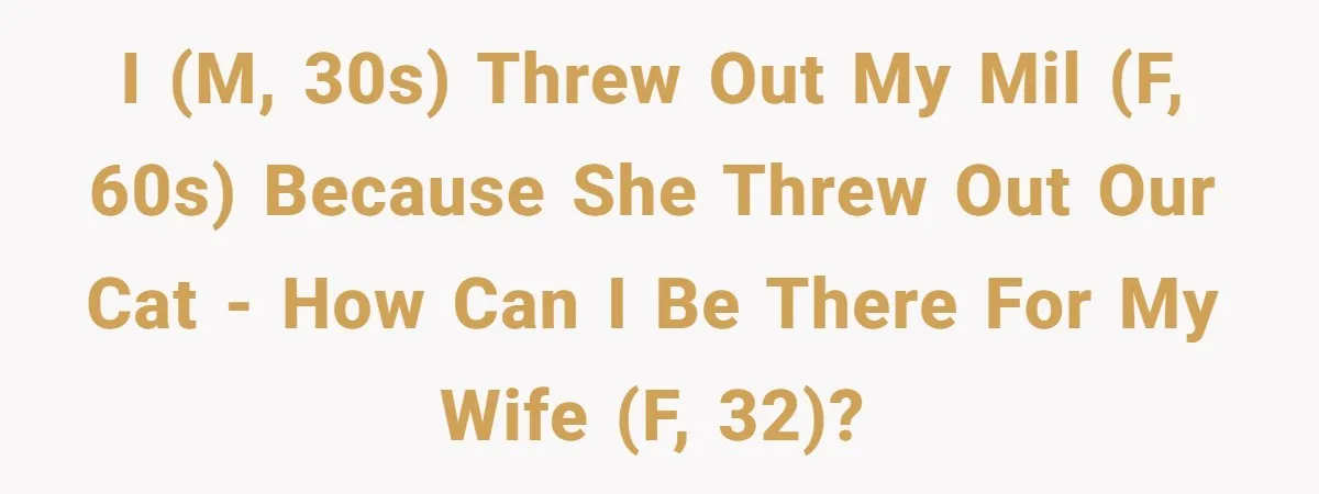 I (M, 30s) threw out my MIL (F, 60s) because she threw out our cat - how can I be there for my wife (F, 32)?