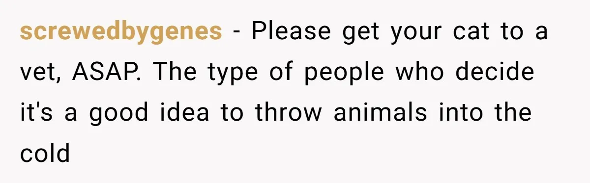 screwedbygenes − Please get your cat to a vet, ASAP. The type of people who decide it's a good idea to throw animals into the cold