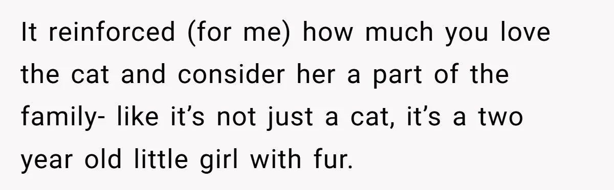 It reinforced (for me) how much you love the cat and consider her a part of the family- like it’s not just a cat, it’s a two year old little...