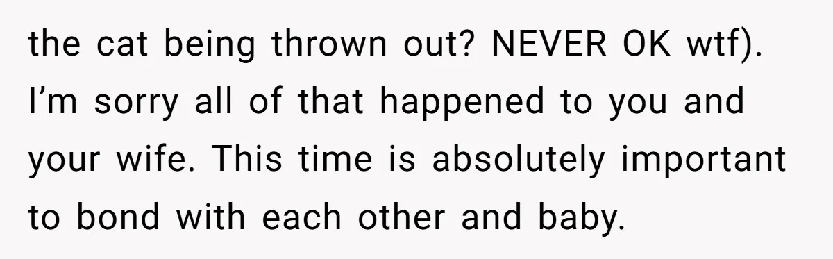 the cat being thrown out? NEVER OK wtf). I’m sorry all of that happened to you and your wife. This time is absolutely important to bond with each other and...