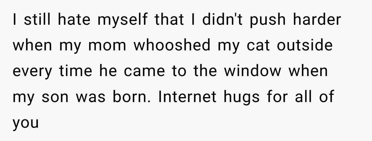 I still hate myself that I didn't push harder when my mom whooshed my cat outside every time he came to the window when my son was born. Internet hugs...