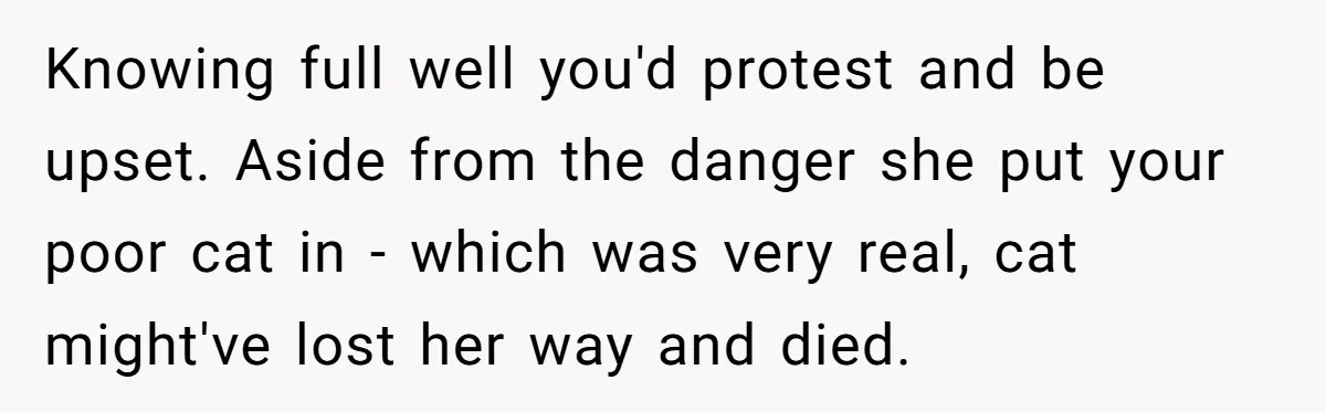 Knowing full well you'd protest and be upset. Aside from the danger she put your poor cat in - which was very real, cat might've lost her way and died.