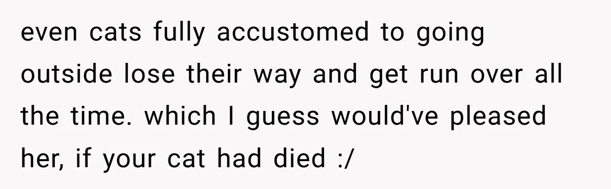 even cats fully accustomed to going outside lose their way and get run over all the time. which I guess would've pleased her, if your cat had died :/