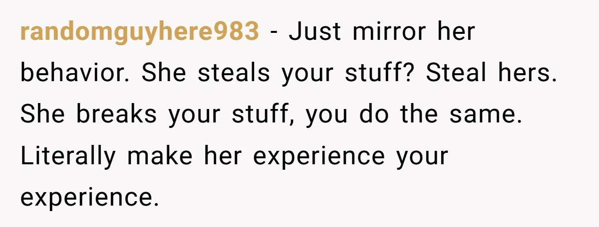 randomguyhere983 − Just mirror her behavior. She steals your stuff? Steal hers. She breaks your stuff, you do the same. Literally make her experience your experience.