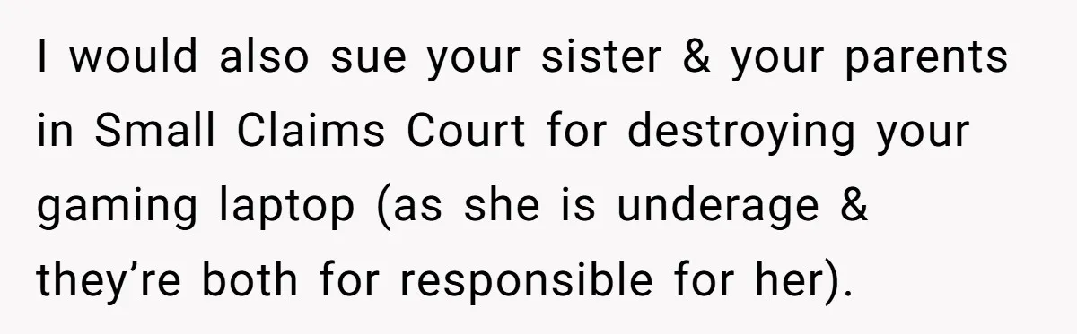 I would also sue your sister & your parents in Small Claims Court for destroying your gaming laptop (as she is underage & they’re both for responsible for her).
