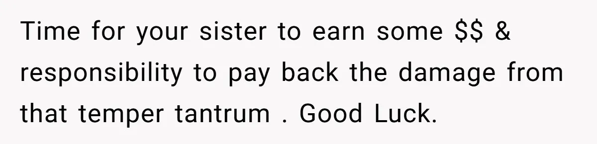 Time for your sister to earn some $$ & responsibility to pay back the damage from that temper tantrum . Good Luck.