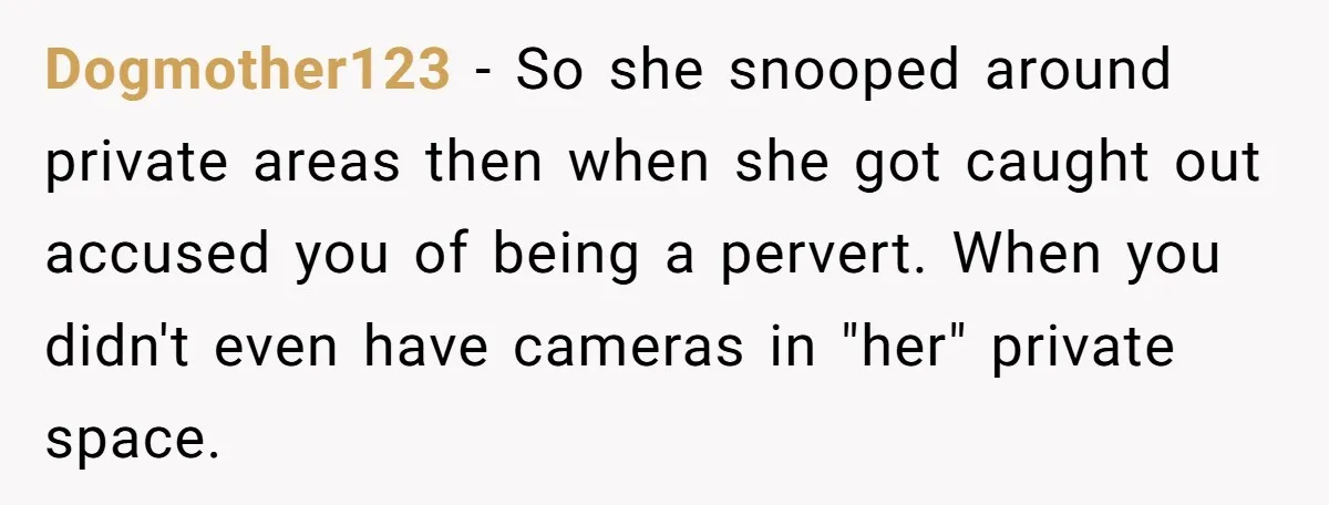 Dogmother123 − So she snooped around private areas then when she got caught out accused you of being a pervert. When you didn't even have cameras in "her" private space.