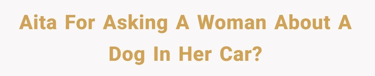 AITA for asking a woman about a dog in her car?