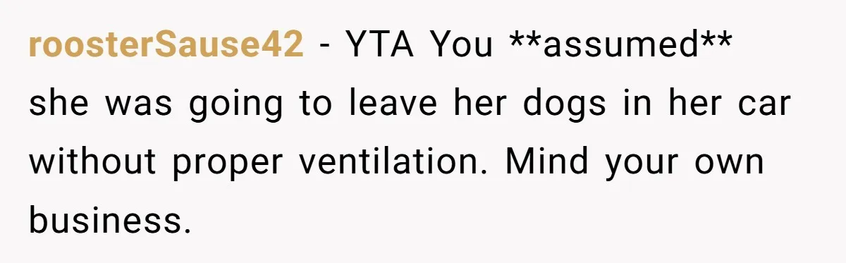 roosterSause42 − YTA You **assumed** she was going to leave her dogs in her car without proper ventilation. Mind your own business.