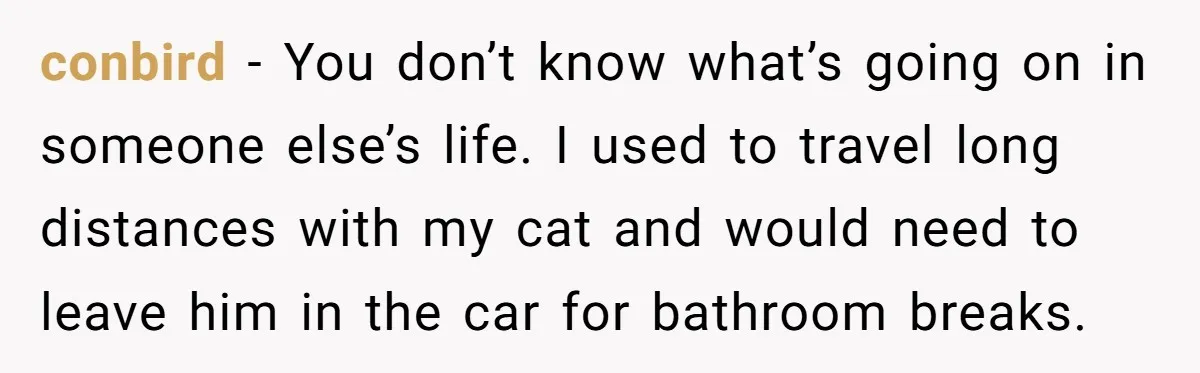 conbird − You don’t know what’s going on in someone else’s life. I used to travel long distances with my cat and would need to leave him in the car...