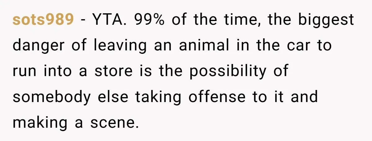 sots989 − YTA. 99% of the time, the biggest danger of leaving an animal in the car to run into a store is the possibility of somebody else taking offense...