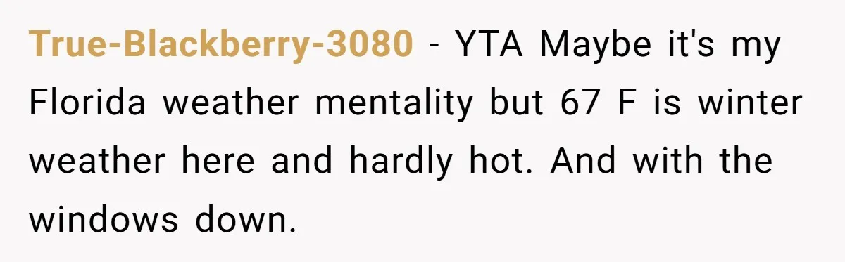 True-Blackberry-3080 − YTA Maybe it's my Florida weather mentality but 67 F is winter weather here and hardly hot. And with the windows down.