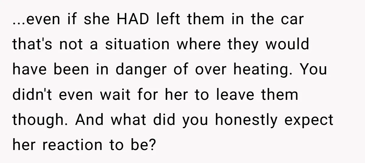 ...even if she HAD left them in the car that's not a situation where they would have been in danger of over heating. You didn't even wait for her to...