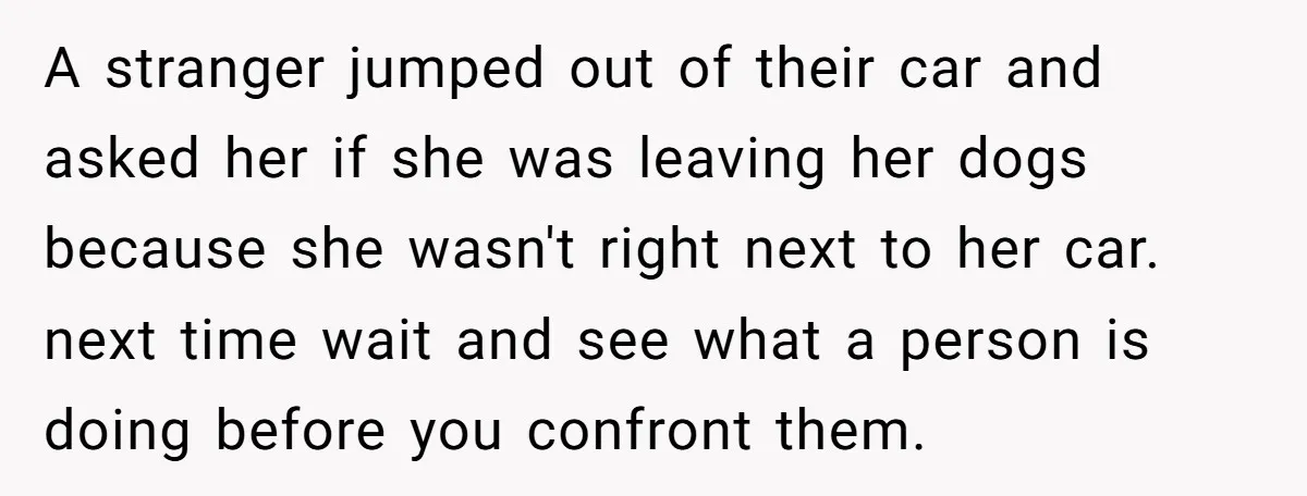 A stranger jumped out of their car and asked her if she was leaving her dogs because she wasn't right next to her car. next time wait and see what...