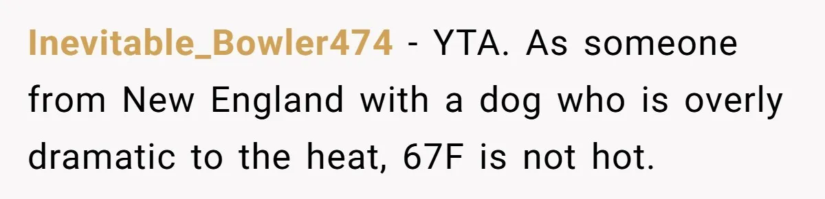 Inevitable_Bowler474 − YTA. As someone from New England with a dog who is overly dramatic to the heat, 67F is not hot.