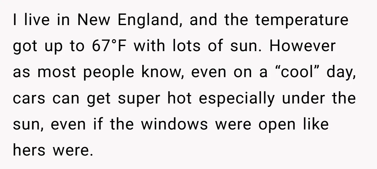 I live in New England, and the temperature got up to 67°F with lots of sun. However as most people know, even on a “cool” day, cars can get super...
