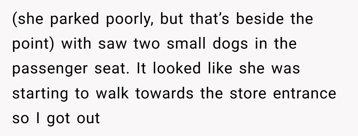 (she parked poorly, but that’s beside the point) with saw two small dogs in the passenger seat. It looked like she was starting to walk towards the store entrance so...