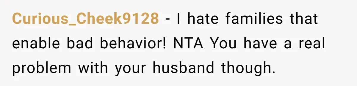 Curious_Cheek9128 − I hate families that enable bad behavior! NTA You have a real problem with your husband though.