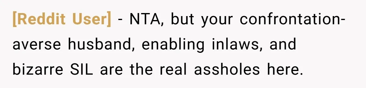 [Reddit User] − NTA, but your confrontation-averse husband, enabling inlaws, and bizarre SIL are the real assholes here.