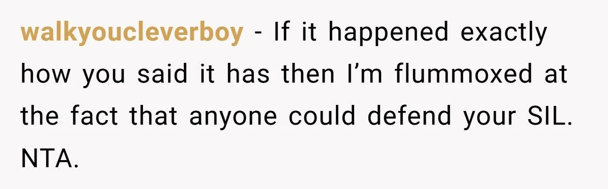 walkyoucleverboy − If it happened exactly how you said it has then I’m flummoxed at the fact that anyone could defend your SIL. NTA.