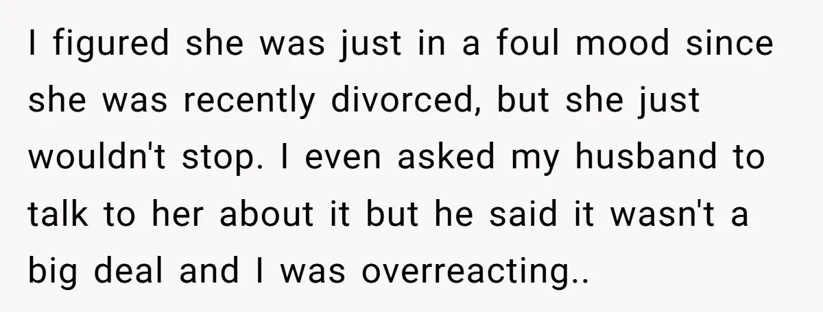 I figured she was just in a foul mood since she was recently divorced, but she just wouldn't stop. I even asked my husband to talk to her about it...