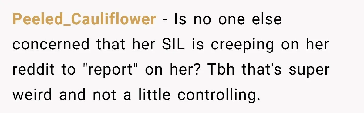 Peeled_Cauliflower − Is no one else concerned that her SIL is creeping on her reddit to "report" on her? Tbh that's super weird and not a little controlling.