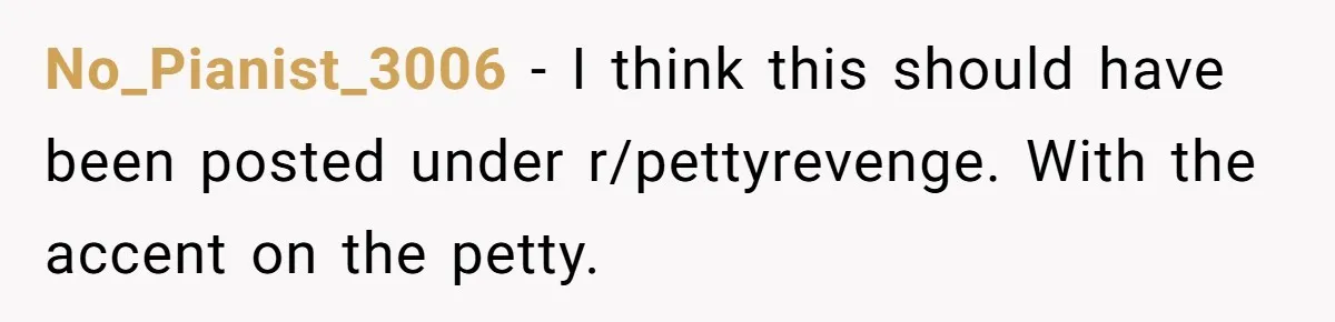No_Pianist_3006 − I think this should have been posted under r/pettyrevenge. With the accent on the petty.