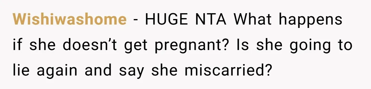 Wishiwashome − HUGE NTA What happens if she doesn’t get pregnant? Is she going to lie again and say she miscarried?