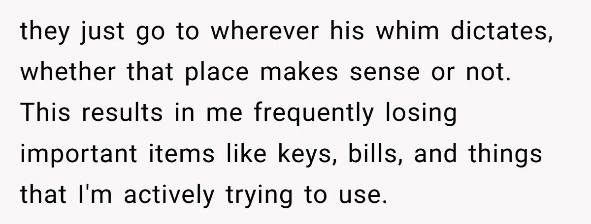 they just go to wherever his whim dictates, whether that place makes sense or not. This results in me frequently losing important items like keys, bills, and things that I'm...