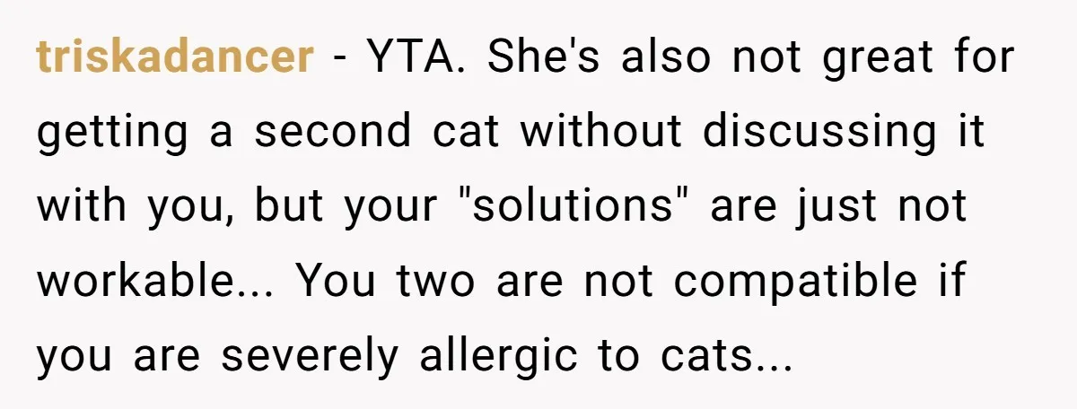 triskadancer − YTA. She's also not great for getting a second cat without discussing it with you, but your "solutions" are just not workable... You two are not compatible if...