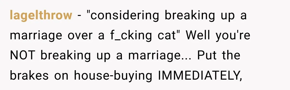 lagelthrow − "considering breaking up a marriage over a f_cking cat" Well you're NOT breaking up a marriage... Put the brakes on house-buying IMMEDIATELY,