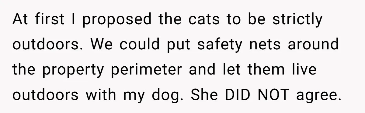 At first I proposed the cats to be strictly outdoors. We could put safety nets around the property perimeter and let them live outdoors with my dog. She DID NOT...