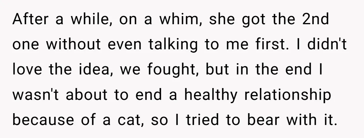 After a while, on a whim, she got the 2nd one without even talking to me first. I didn't love the idea, we fought, but in the end I wasn't...