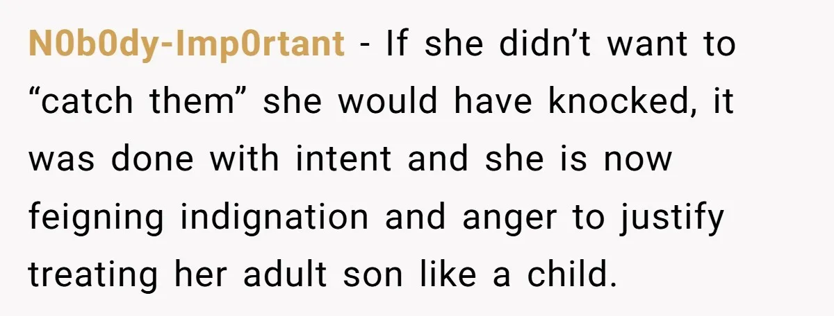 N0b0dy-Imp0rtant − If she didn’t want to “catch them” she would have knocked, it was done with intent and she is now feigning indignation and anger to justify treating her...