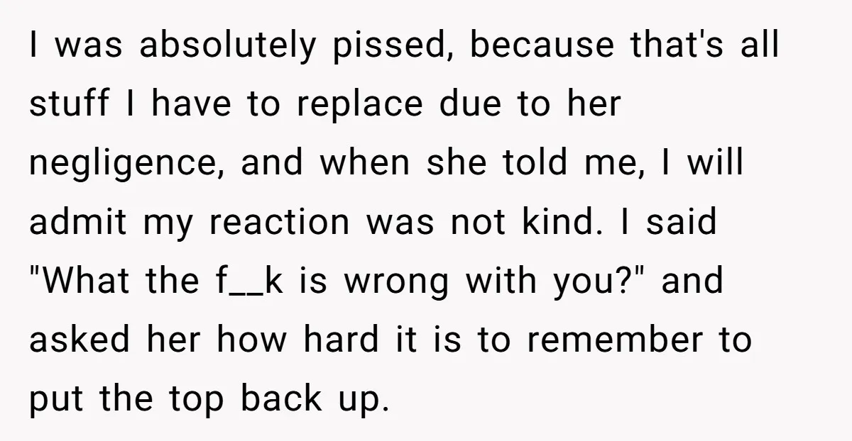 I was absolutely pissed, because that's all stuff I have to replace due to her negligence, and when she told me, I will admit my reaction was not kind. I...