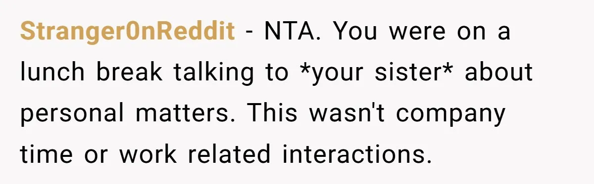 Stranger0nReddit − NTA. You were on a lunch break talking to *your sister* about personal matters. This wasn't company time or work related interactions.