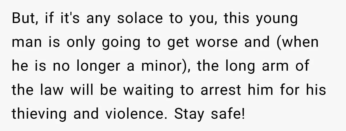 But, if it's any solace to you, this young man is only going to get worse and (when he is no longer a minor), the long arm of the law...