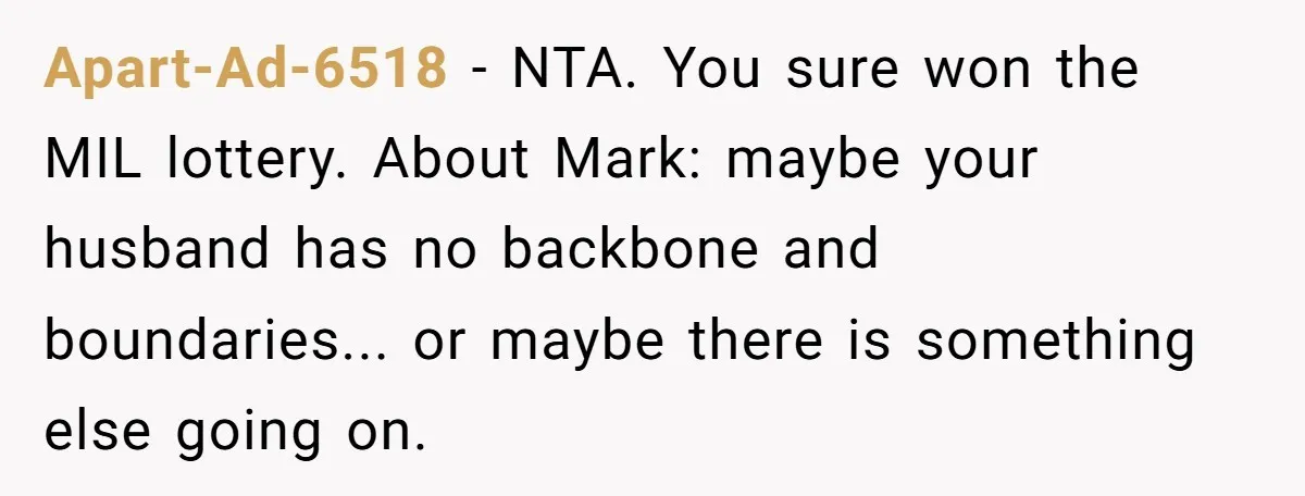 Apart-Ad-6518 − NTA. You sure won the MIL lottery. About Mark: maybe your husband has no backbone and boundaries... or maybe there is something else going on.