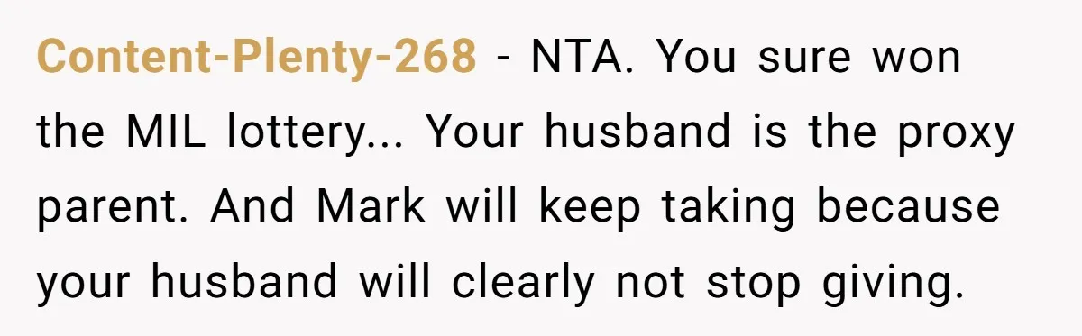 Content-Plenty-268 − NTA. You sure won the MIL lottery... Your husband is the proxy parent. And Mark will keep taking because your husband will clearly not stop giving.