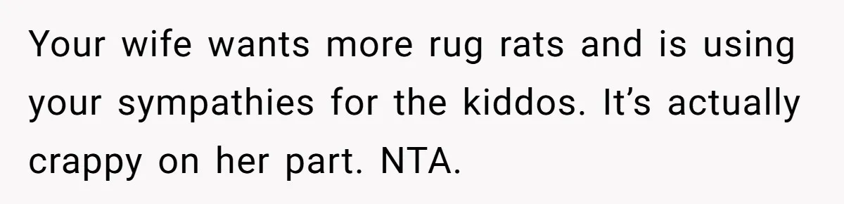 Your wife wants more rug rats and is using your sympathies for the kiddos. It’s actually crappy on her part. NTA.