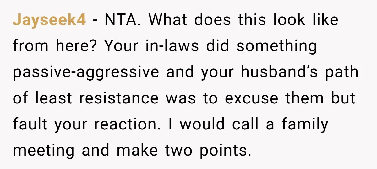 Jayseek4 − NTA. What does this look like from here? Your in-laws did something passive-aggressive and your husband’s path of least resistance was to excuse them but fault your reaction....
