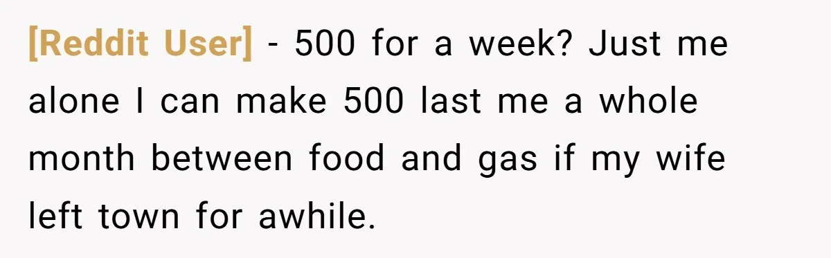 [Reddit User] − 500 for a week? Just me alone I can make 500 last me a whole month between food and gas if my wife left town for awhile.