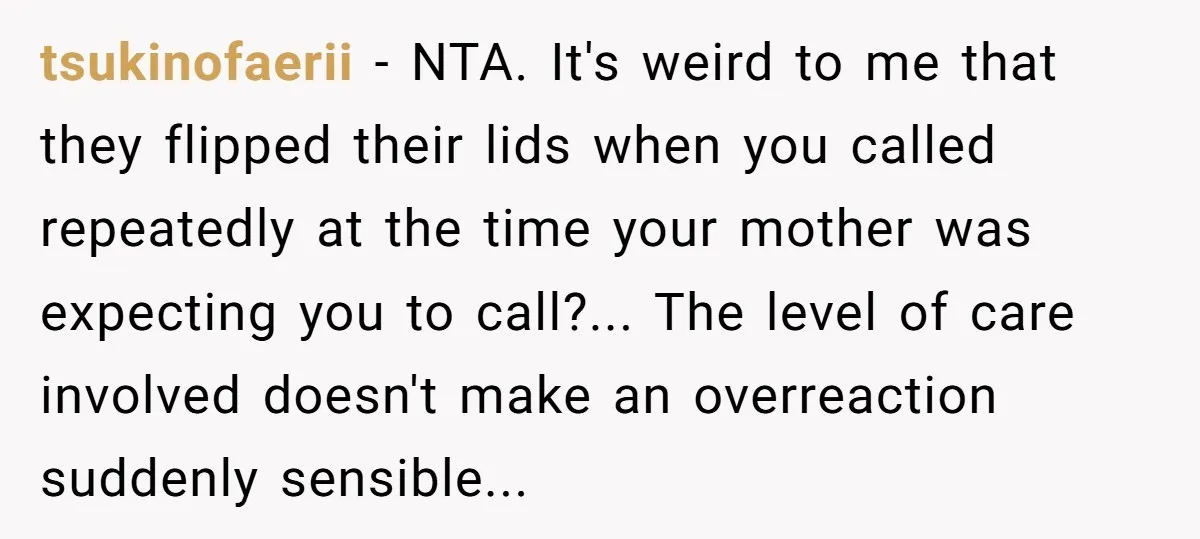 tsukinofaerii − NTA. It's weird to me that they flipped their lids when you called repeatedly at the time your mother was expecting you to call?... The level of care...