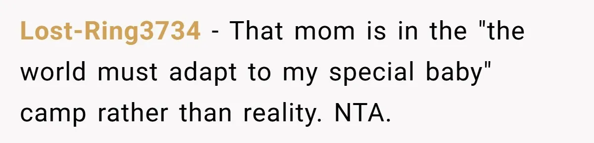 Lost-Ring3734 − That mom is in the "the world must adapt to my special baby" camp rather than reality. NTA.